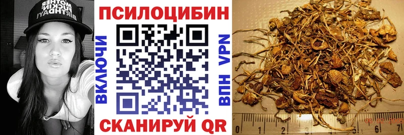 даркнет формула  Ардон  Галлюциногенные грибы Psilocybine cubensis 
